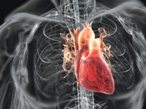 Iminenta pandemie de boli cardiovasculare